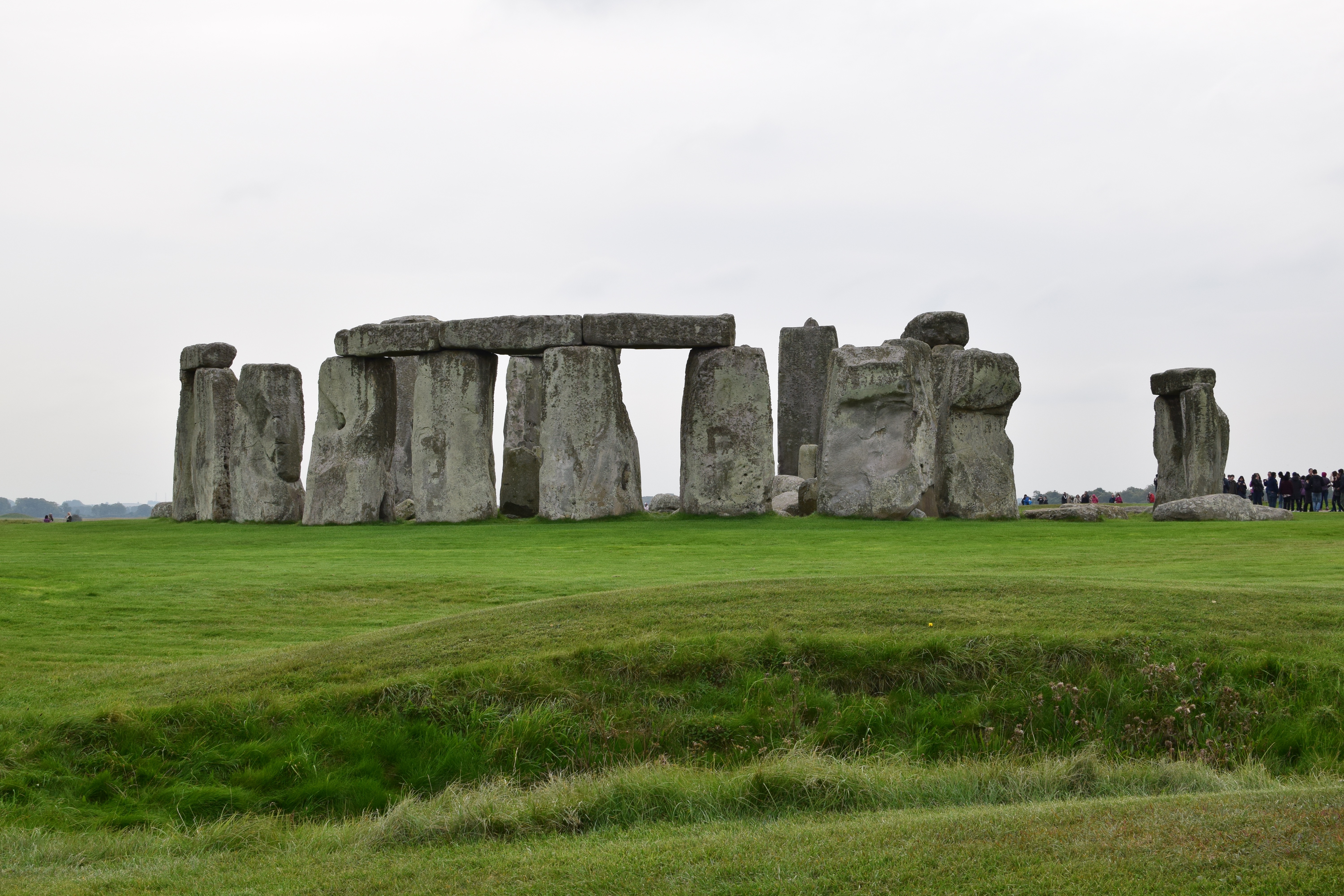 DSC_1320